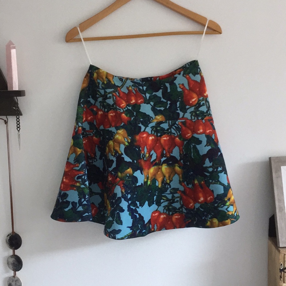 Cameo Aurora Skirt